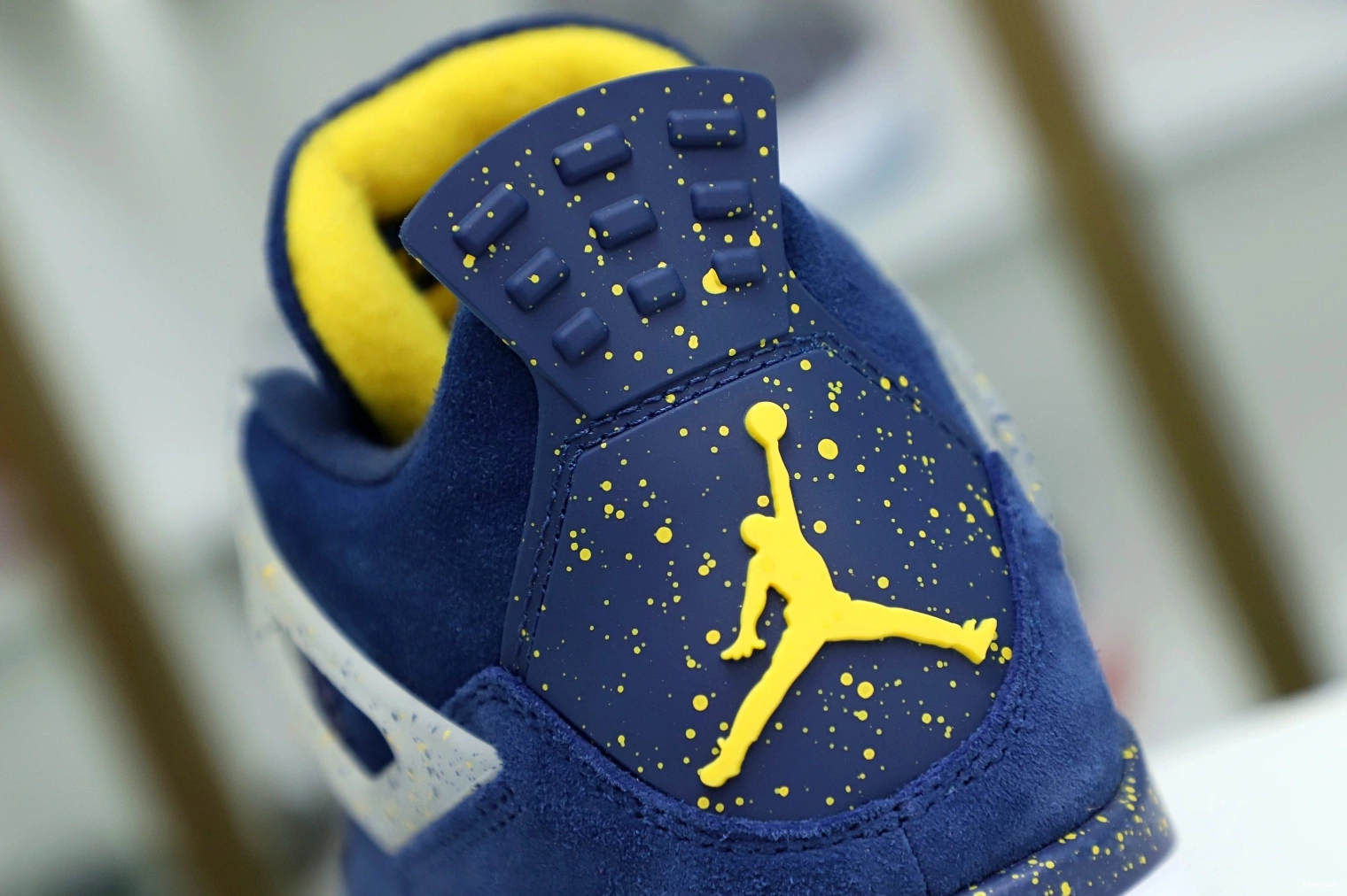 Jordan Air 4 Jordan 1010